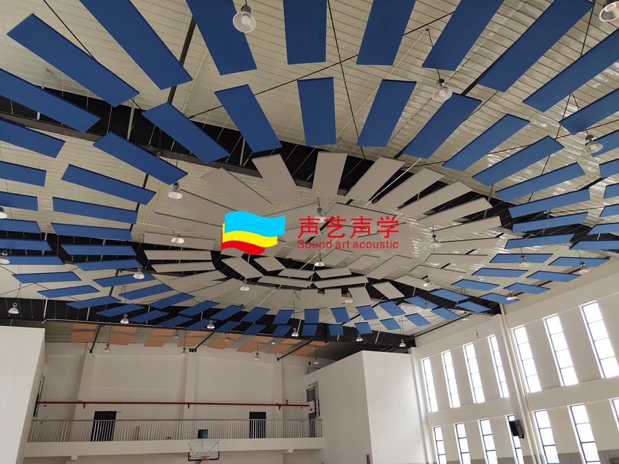 長沙市雨花區(qū)稻田特立中學(xué) 體育館空間吸聲體案例